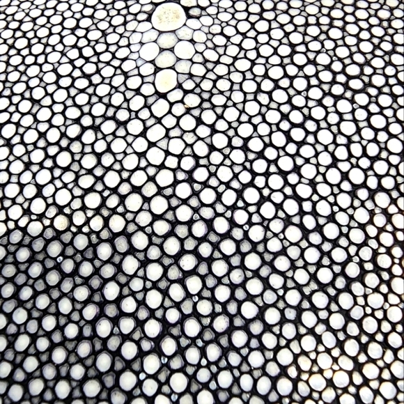 Limited edition Bottega Veneta Stingray Long Wallet on (Chain unbranded free) - Picture 5 of 13